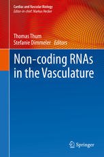 Non Coding RNAs in the Vasculature