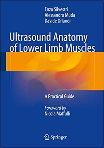 Ultrasound Anatomy of Lower Limb Muscles A Practical Guide 1st edition