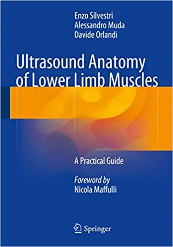 Ultrasound Anatomy of Lower Limb Muscles A Practical Guide 1st edition