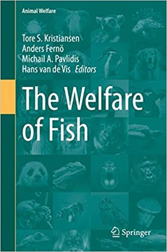 The Welfare of Fish 1st edition