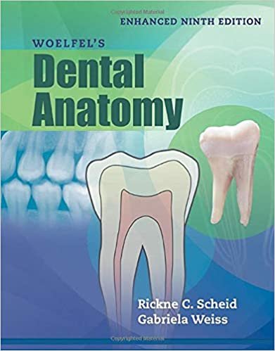 Woelfel's Dental Anatomy 9th edition