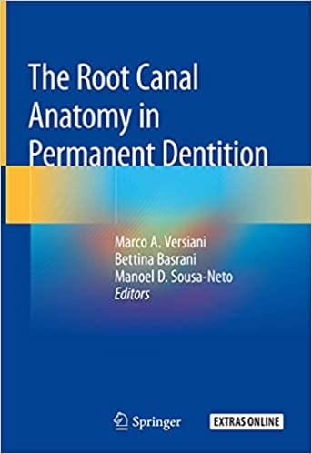 The Root Canal Anatomy in Permanent Dentition 1st edition