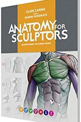 Anatomy for Sculptors Understanding the Human Figure 1st edition