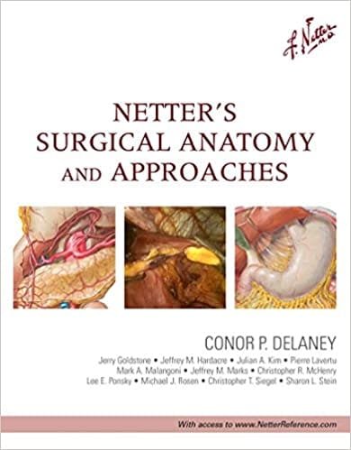 Netter's Surgical Anatomy and Approaches 2nd edition