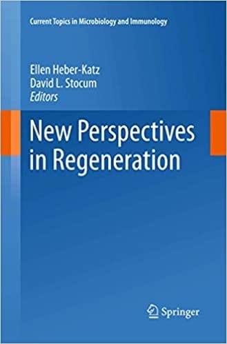 New Perspectives in Regeneration 2013th edition
