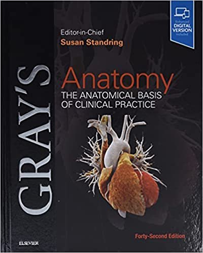 Gray's Anatomy The Anatomical Basis of Clinical Practice 42nd Edition