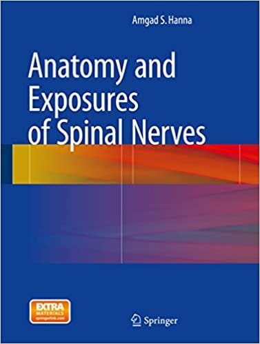 Anatomy and Exposures of Spinal Nerves 2015th edition