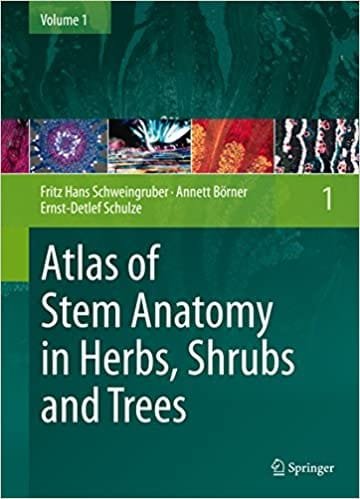 Atlas of Stem Anatomy in Herbs Shrubs and Trees Vol 1 2011th edition