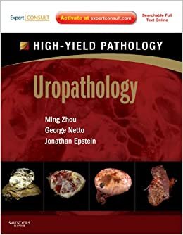 Uropathology A Volume in the High Yield Pathology Series