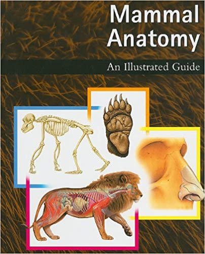 Mammal Anatomy An Illustrated Guide