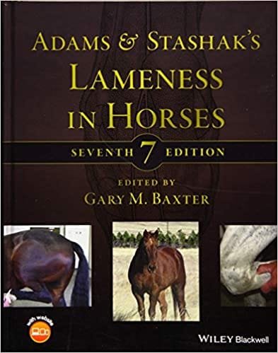 Adams and Stashaks Lameness in Horses 7th edition