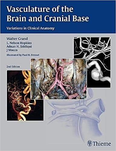 Vasculature Of The Brain And Cranial Base Variations in Clinical Anatomy 2nd edition
