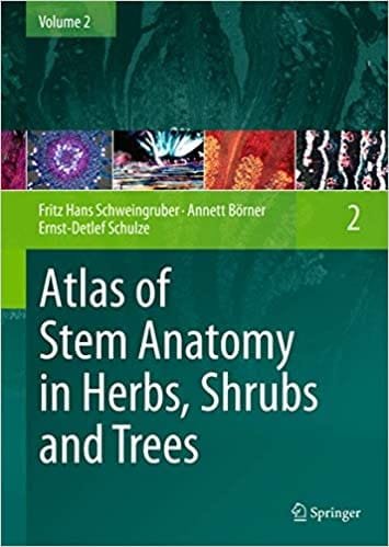 Atlas of Stem Anatomy in Herbs Shrubs and Trees Vol 2 2013th edition