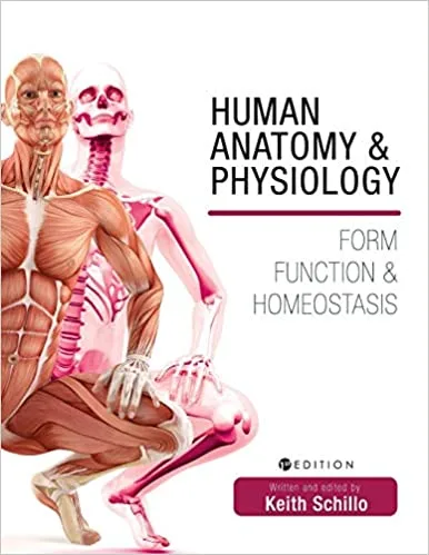 Human Anatomy And Physiology Form Function And Homeostasis