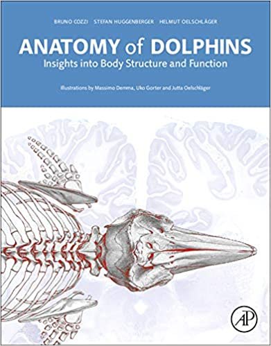 Anatomy of Dolphins Insights Into Body Structure and Function