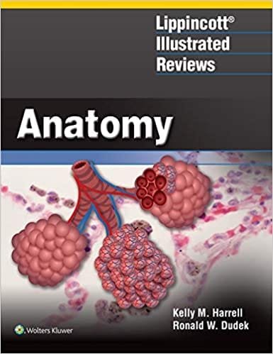 Lippincott Illustrated Reviews Anatomy 1st edition