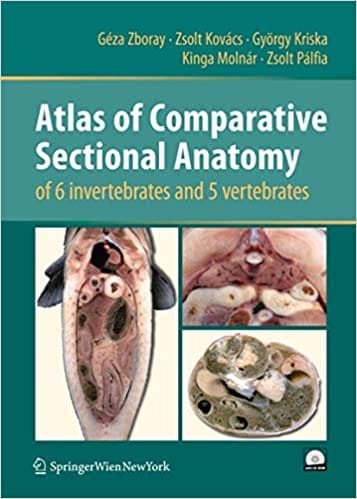 Atlas of Comparative Sectional Anatomy of 6 invertebrates and 5 vertebrates 2010th edition