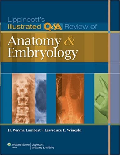 Lippincotts Illustrated Q&A Review of Anatomy and Embryology 1st edition
