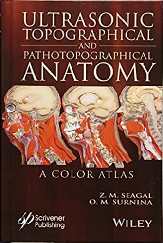 Ultrasonic Topographical And Pathotopographical Anatomy A Color Atlas 1st edition