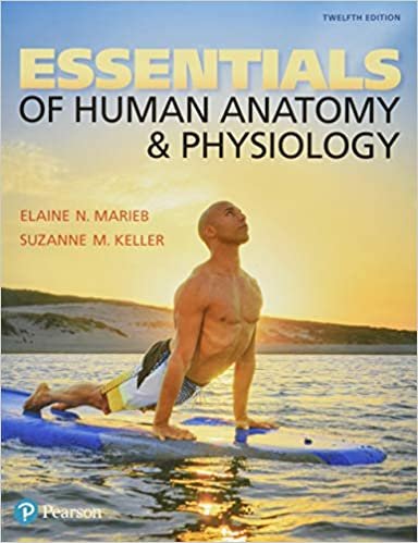 Essentials of Human Anatomy & Physiology 13th Edition