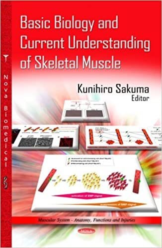 Basic Biology and Current Understanding of Skeletal Muscle 1st edition