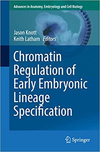 Chromatin Regulation of Early Embryonic Lineage Specification
