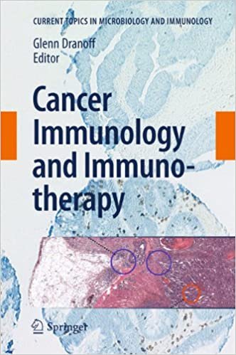 Cancer Immunology and Immunotherapy 2011th edition
