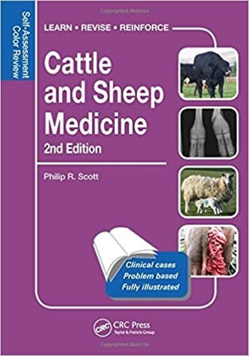 Cattle and Sheep Medicine 2nd edition
