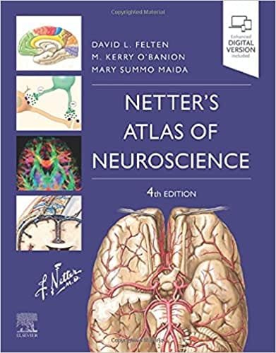 Netter's Atlas of Neuroscience 4th Edition