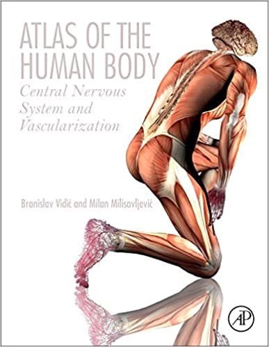 Atlas Of The Human Body Central Nervous System And Vascularization 1st edition