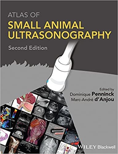 Atlas of Small Animal Ultrasonography 2nd Ed