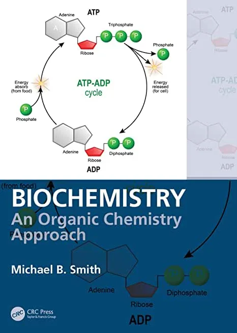 Biochemistry An Organic Chemistry Approach 1st edition