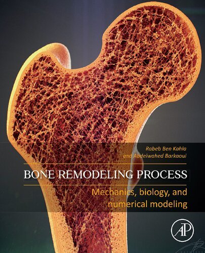Bone Remodeling Process: Mechanics, Biology, and Numerical Modeling