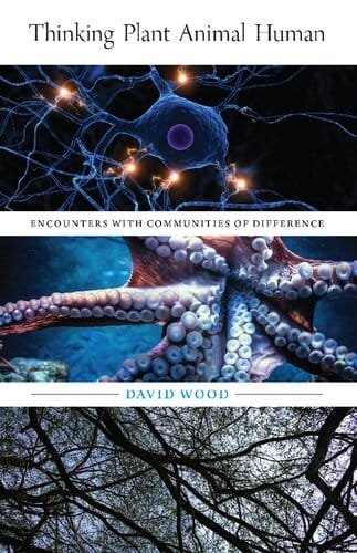 Thinking Plant Animal Human Encounters with Communities of Difference 1st edition