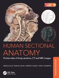 Human Sectional Anatomy Pocket Atlas Of Body Sections CT and MRI images 4th edition