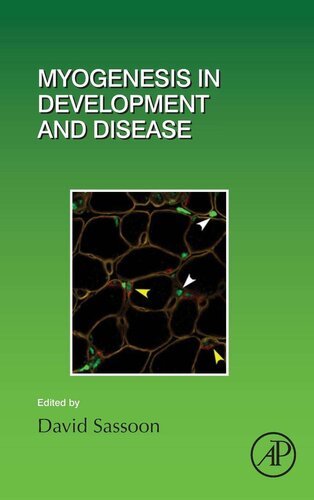 Myogenesis in Development and Disease