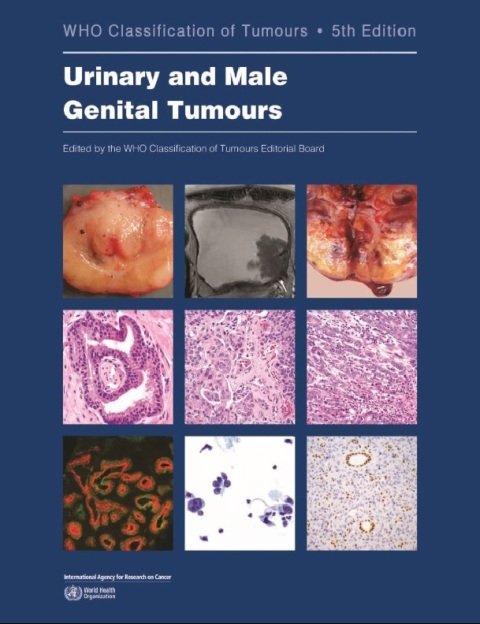 WHO classification of tumours of the urinary system and male genital organs 8 (World Health Organization classification of tumours, 9).