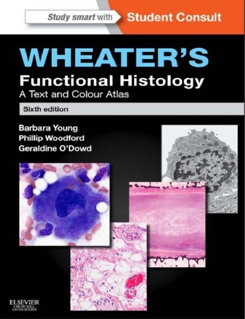 Wheater's Functional Histology A Text and Colour Atlas (FUNCTIONAL HISTOLOGY (WHEATER'S)) 6th Edition.