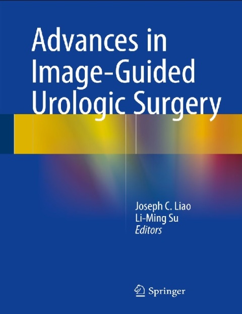 Advances in Image-Guided Urologic Surgery.