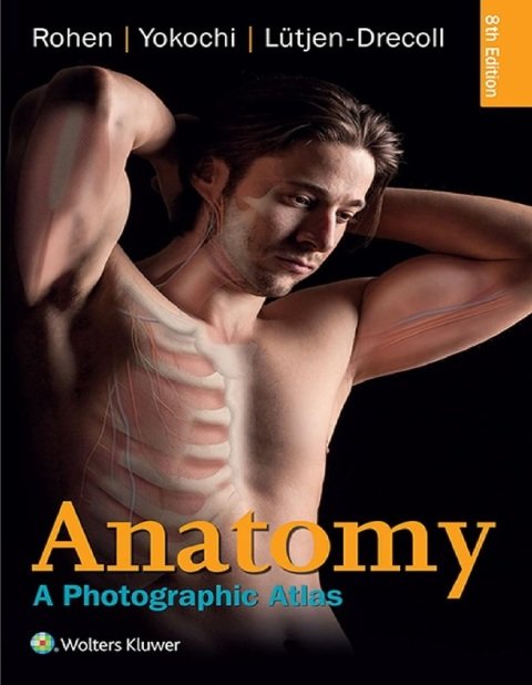 Anatomy A Photographic Atlas (Color Atlas of Anatomy a Photographic Study of the Human Body).