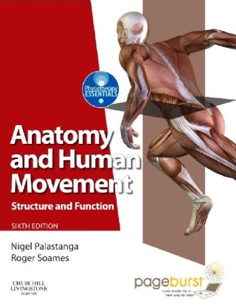 Anatomy and Human Movement Structure and function with PAGEBURST Access, 6e (Physiotherapy Essentials).