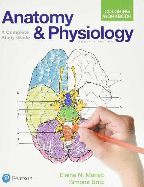 Anatomy and Physiology Coloring Workbook A Complete Study Guide.