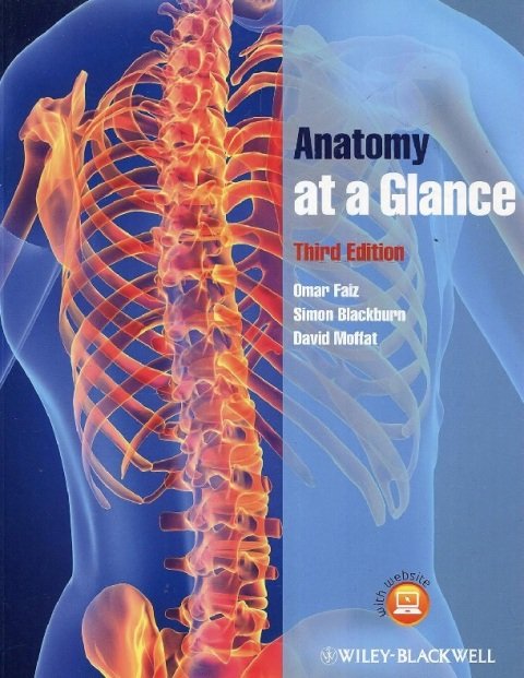 Anatomy at a Glance.