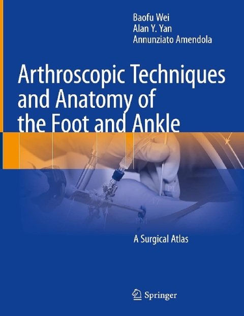 Arthroscopic Techniques and Anatomy of the Foot and Ankle A Surgical Atlas.