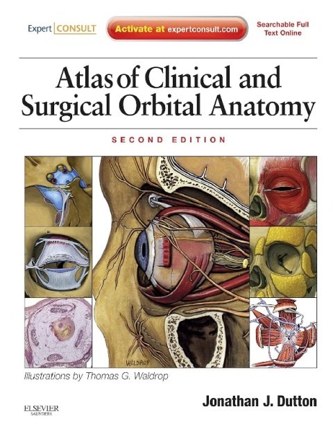 Atlas of Clinical and Surgical Orbital Anatomy.