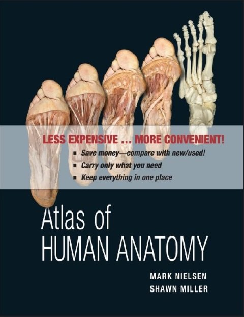 Atlas of Human Anatomy.