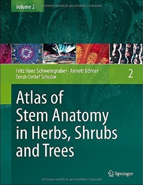 Atlas of Stem Anatomy in Herbs, Shrubs and Trees Volume 2 2013 edition by Schweingruber, Fritz Hans, Börner, Annett, Schulze, Ernst-De (2012) Hardcover.