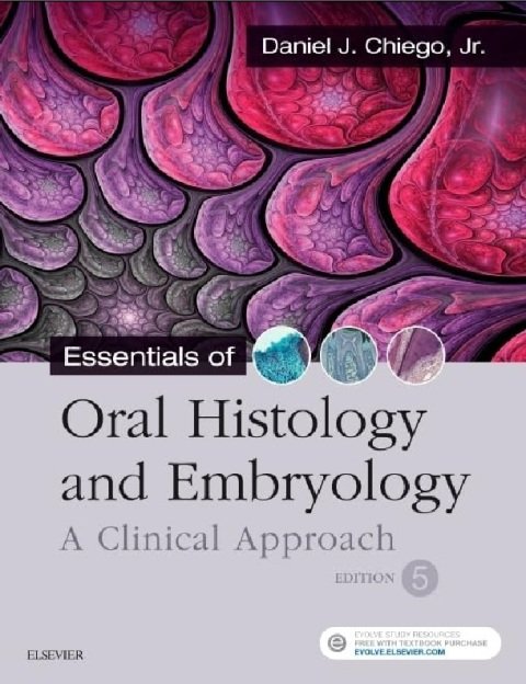Essentials of Oral Histology and Embryology A Clinical Approach.