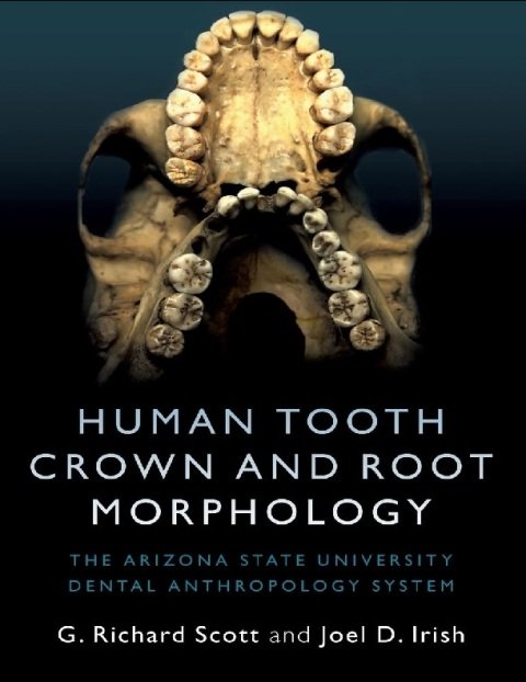 Human Tooth Crown and Root Morphology The Arizona State University Dental Anthropology System.