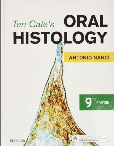 Ten Cate's Oral Histology Development, Structure, and Function.